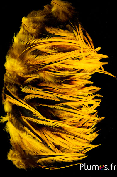 Coq flammé - 10-15 cm - jaune